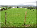 Ballynure Townland