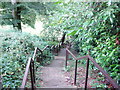 The steps leading to Poets Glen