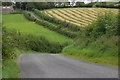 The Ballynanny Road near Loughbrickland (2)