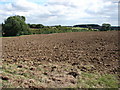 Ploughed Field Near The Hollies