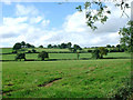 Pastureland near Aston