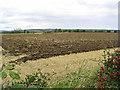 Ploughed field near Bywell