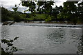 The weir at Saltford Lock