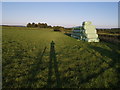 Silage bales