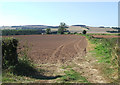 Ploughed Fields near Weston, Shropshire