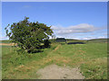 Farmland at Fenwick