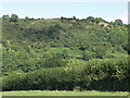 Hill above Nantmawr