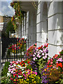 North Gower Street, Euston