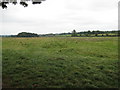 Farmland off Stallington Lane