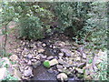 Minor tributary to Padside Beck