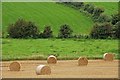 Hayfield near Banbridge