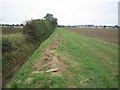 TL1148 : Course of footpath by recently dredged ditch by ian saunders