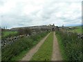 Plas Llangwyfan Farm