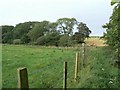 Fence beside the stream