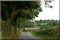 The Clay Road near Banbridge (3)