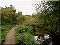 Steps up to road from trail along canal bank.