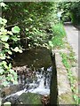 Loscombe: waterfall and no through road