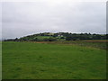 Caeau ger Tynygraig / Fields near Tynygraig