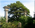 Tracy Park Estate - south entrance