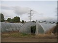 Polytunnels, Carmichaels Farm