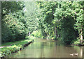 Macclesfield Canal near Oakgrove, Cheshire