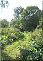 Footpath near Claydon