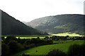 Early Evening Sunlight in Rhonadale.