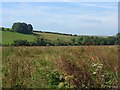 The Sydling valley near Grimstone