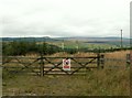 NY4779 : Entrance to Scottish Woodlands plantation by Rose and Trev Clough