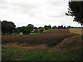 View across ploughed field from Sandy Lane