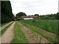 Kempton Park Farm across a field of asparagus