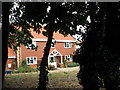 Red brick house hiding behind trees