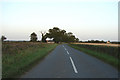 TL7039 : Road to Chapelend Way by Robert Walden