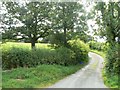 Track to Aberbechan Dyke