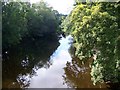 SJ1006 : View upstream, Afon Banwy by Maigheach-gheal