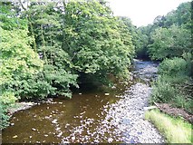 SJ1006 : View downstream, Afon Banwy by Maigheach-gheal