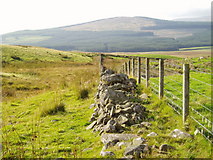 NX6490 : Ruined wall and fence line near Culmark by Bob Peace
