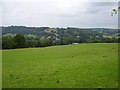 Pasture near Llandinam