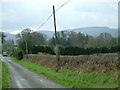 Woods surrounding Llanfechan