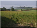 View near Pyne Meadow Cross