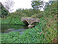 Footbridge over the Frome