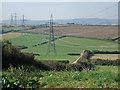 Pylons at Chickerell