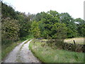 Bridleway leading to Harewood Road