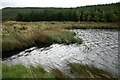 NR6516 : Loch Orodale. by Steve Partridge