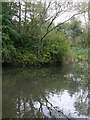 Reflections at Howden Marsh