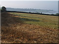 Field at Pyne Meadow Cross