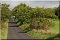 The Speerstown Road near Kells and Connor (2)