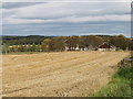 Fintry School and playing field