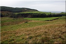 NR6319 : Farmland and Wood at High Lossit. by Steve Partridge