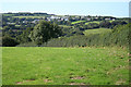 Treneglos: towards Warbstow Cross